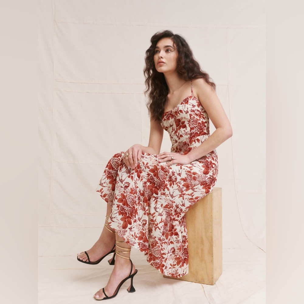 Reformation Emersyn Midi Dress in Toile De Jouy print Size 6 - Picture 5 of 15